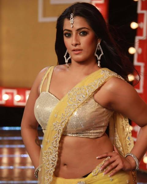 glittering-look-of-varalaxmi-sarathkumar-from-madhagajaraja